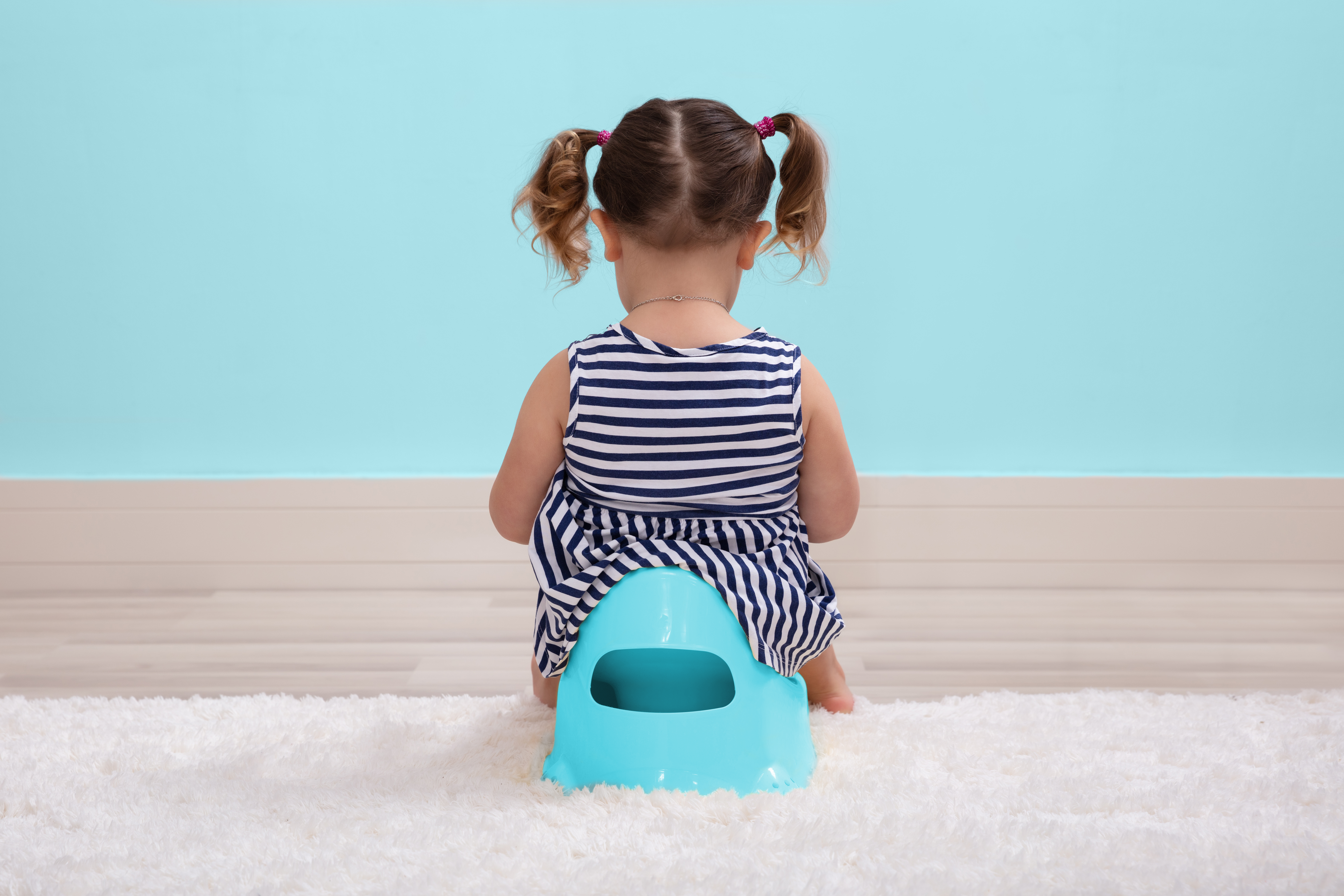 Female Toddler Sitting On A Potty Pot